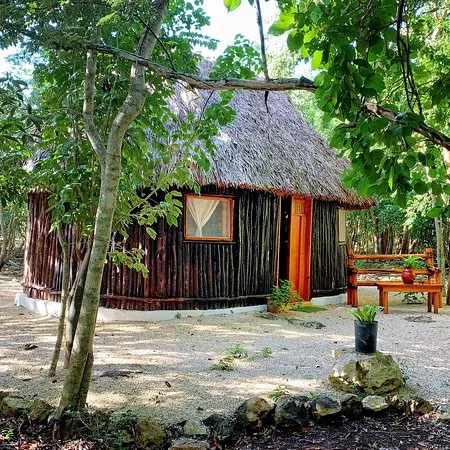 Experiencias de la cultura maya