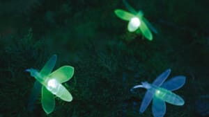 Brillo y Luz Natural de las Luciérnagas 